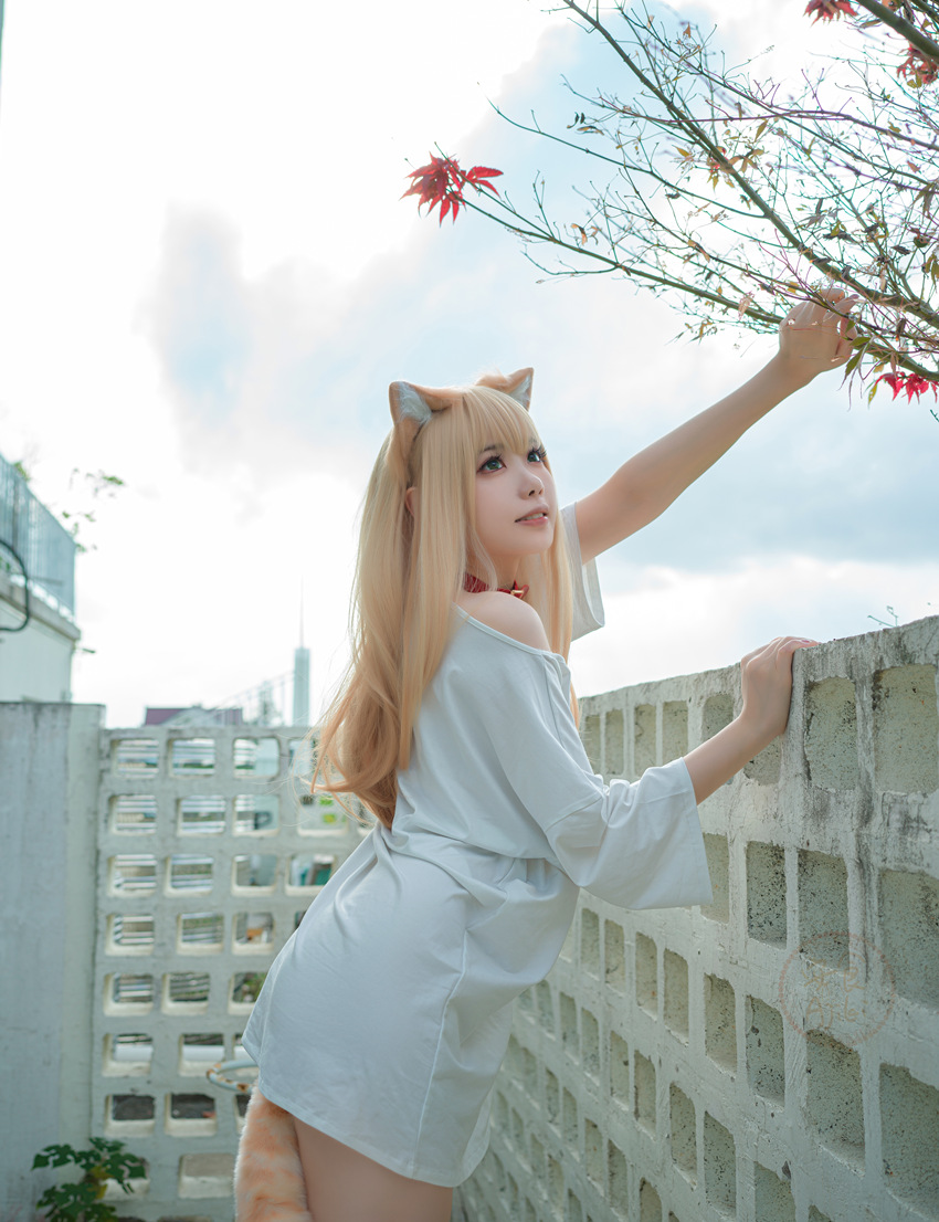 安食ajiki黄豆粉cos免费鉴赏